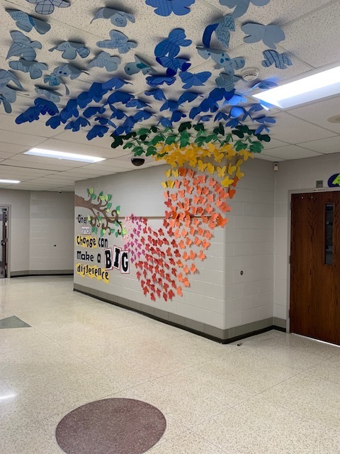 Display | Westview Elementary