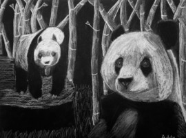 5th grade featured artist